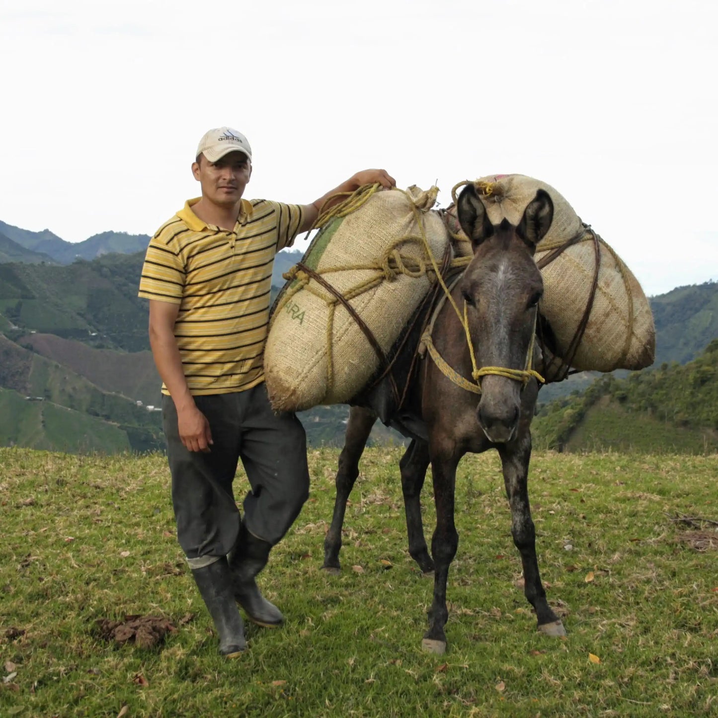 Colombia Benedicto Puentes