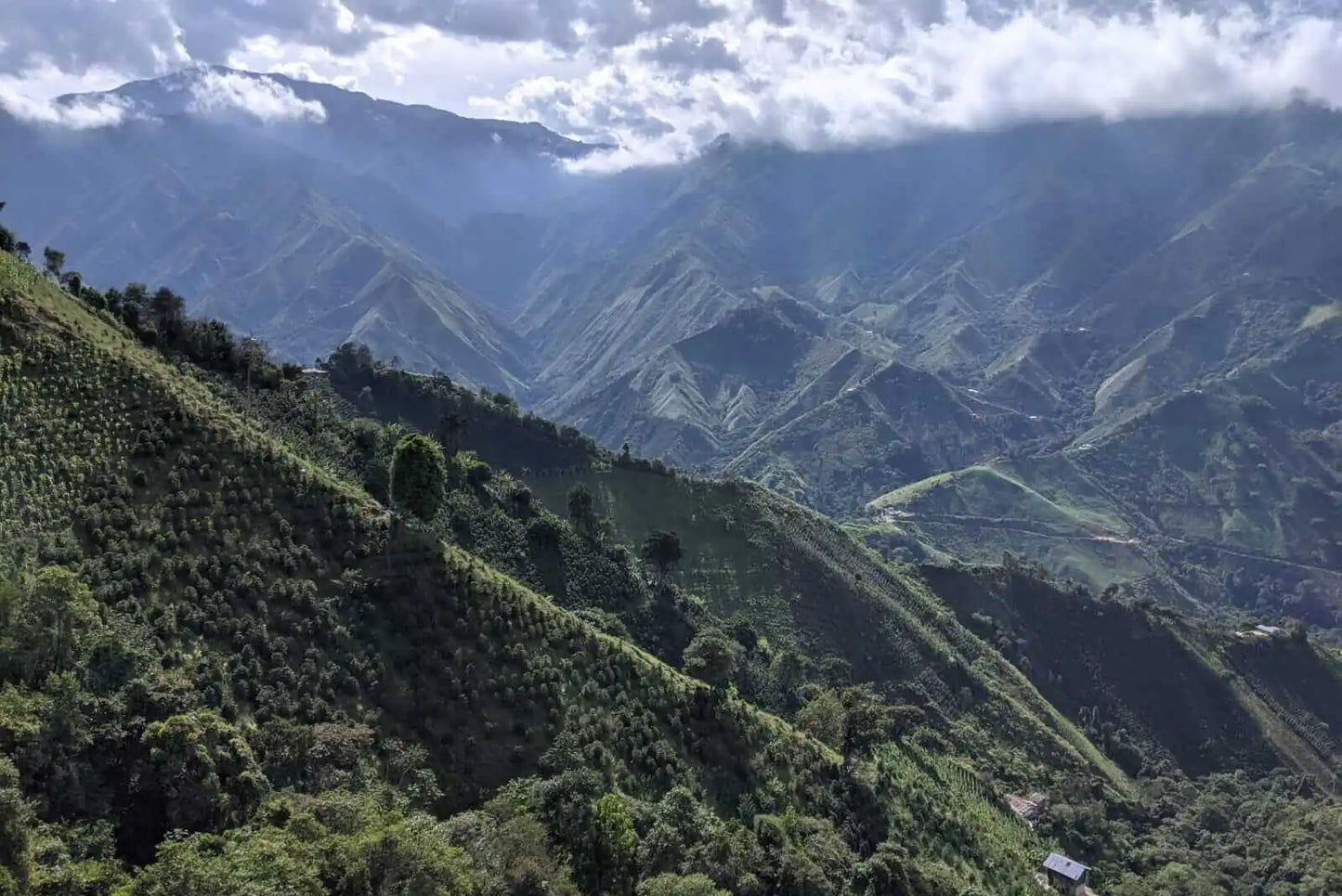 Colombia Benedicto Puentes