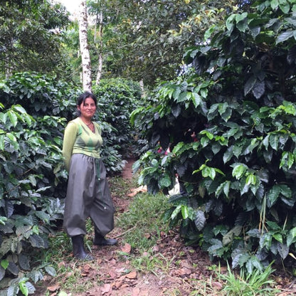 Ecuador Finca Maputo