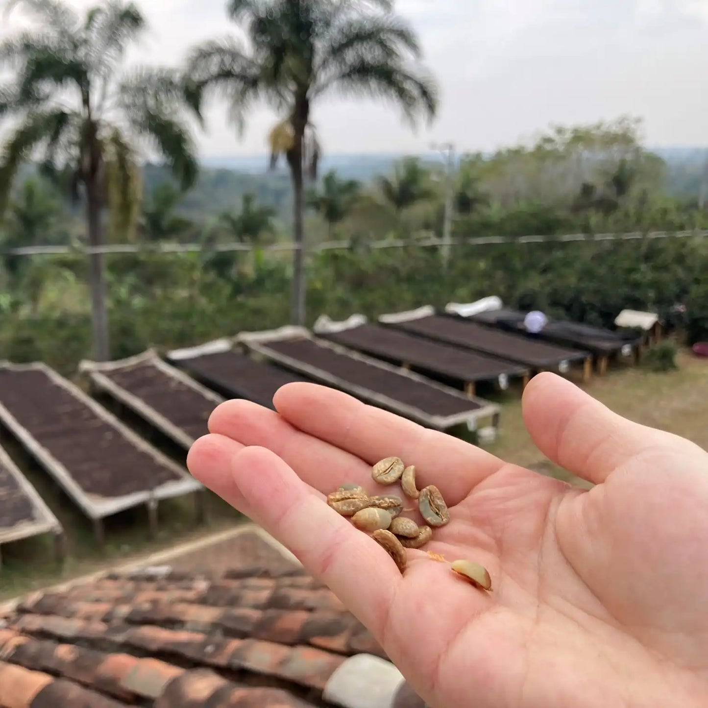 Mexiko Carlos Cadena