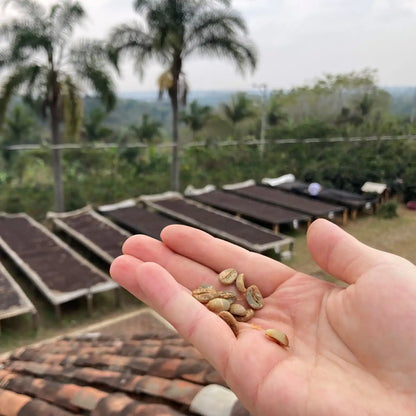 Mexiko Carlos Cadena