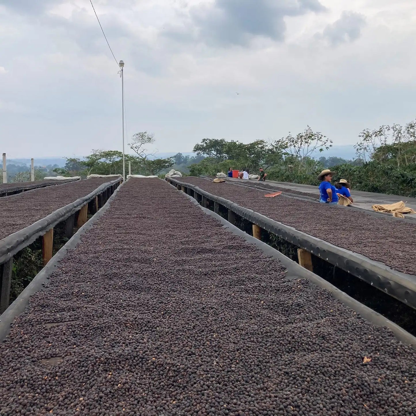 Mexiko Carlos Cadena