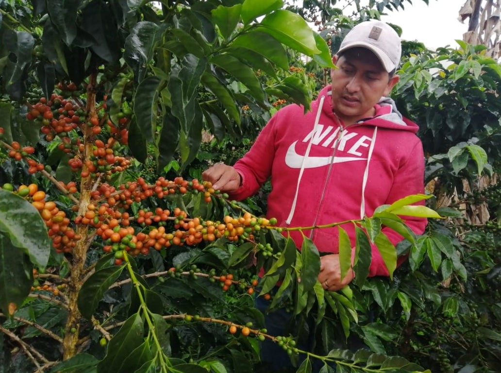 Colombia La Cristalina