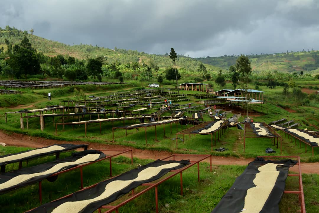 Rwanda Mbizi