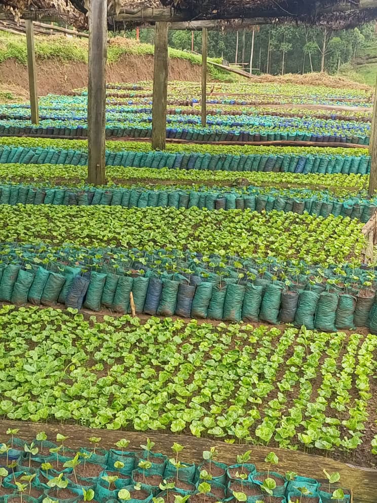 Venezuela Rivero Family