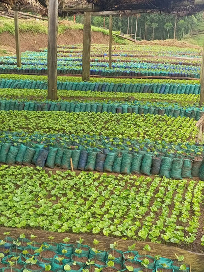 Venezuela Rivero Family