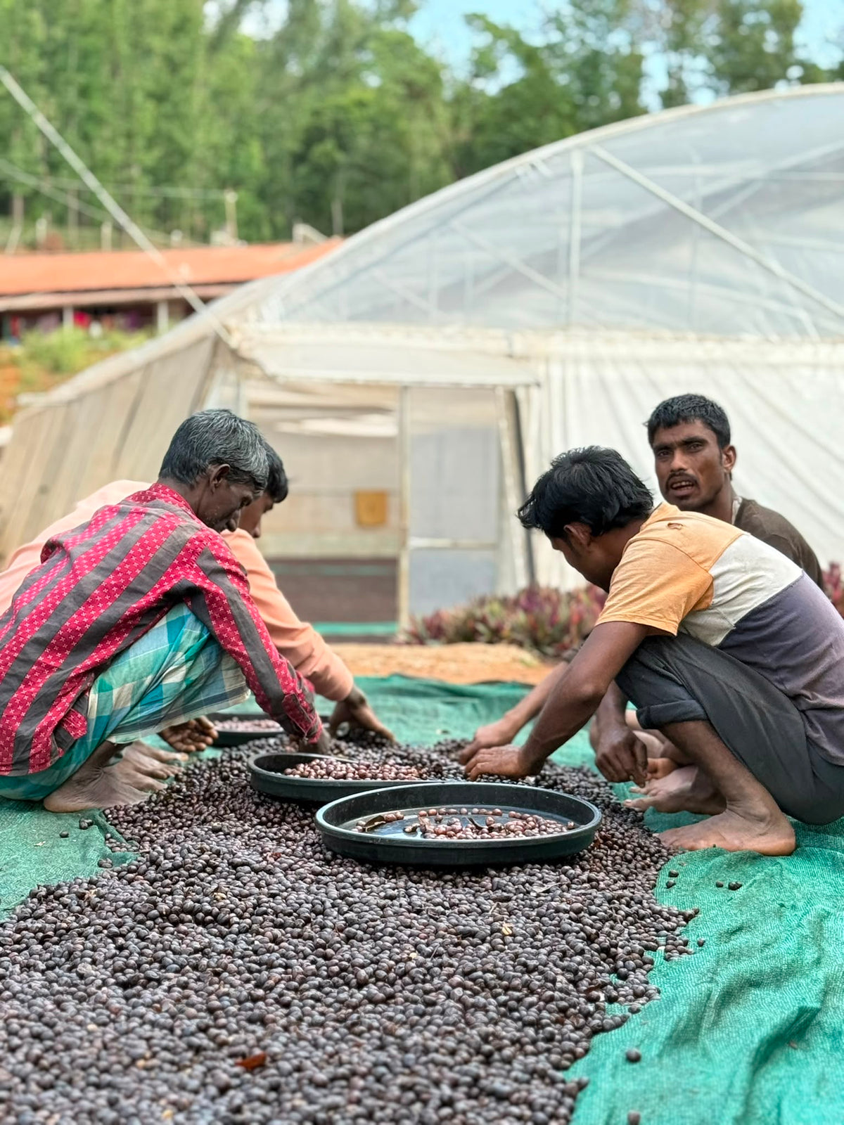 India Gundikhan Anaerobic