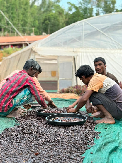 India Gundikhan Anaerobic