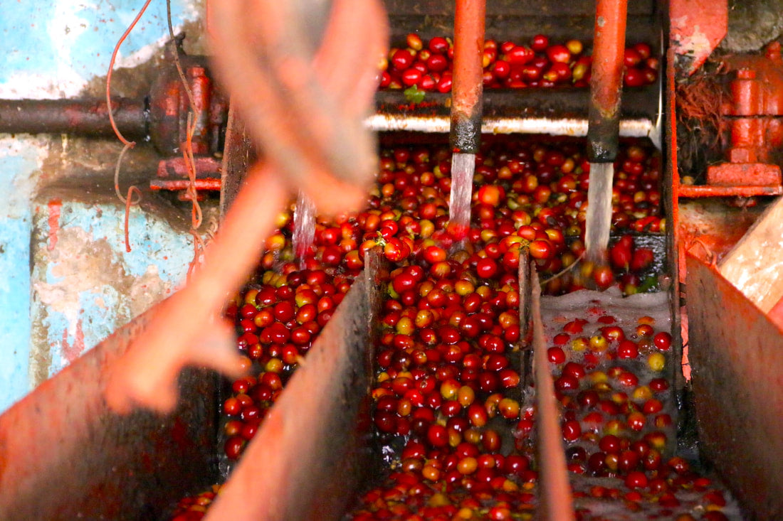Kenya Gatina AB